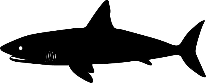 shark (Animals 1-10)