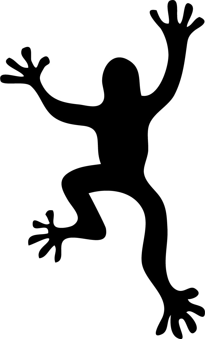Gecko V2 (Animals 1-21)
