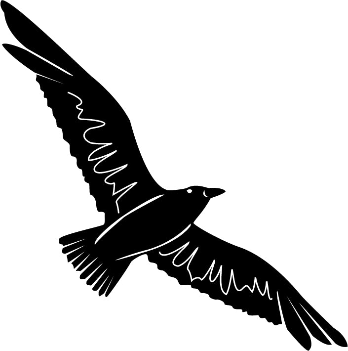 Seagull (1-26)