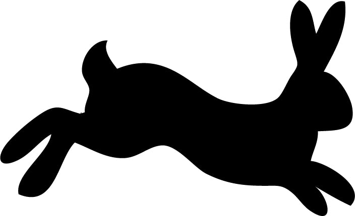 Rabbit V5 (Animals 1-42)