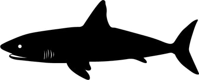 shark (Animals 1-10)