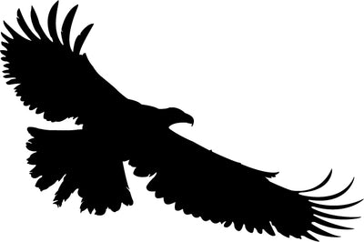 Eagle V4 (1-25)