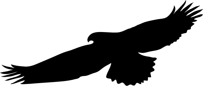Eagle V5 (1-28)