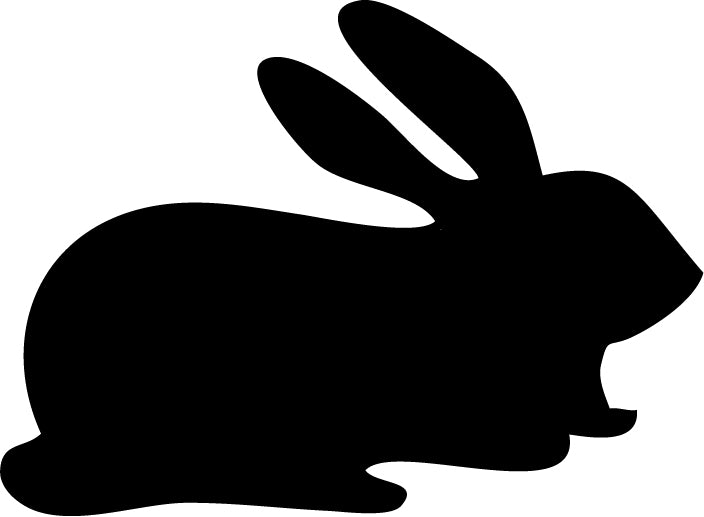Rabbit V3 (1-29)
