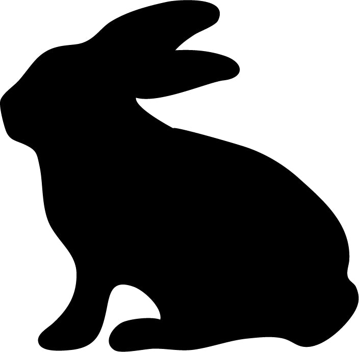 Rabbit V4 (1-30)