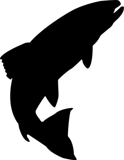 Salmon (1-33)