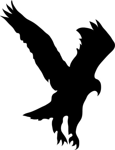 Eagle V7 (1-37)