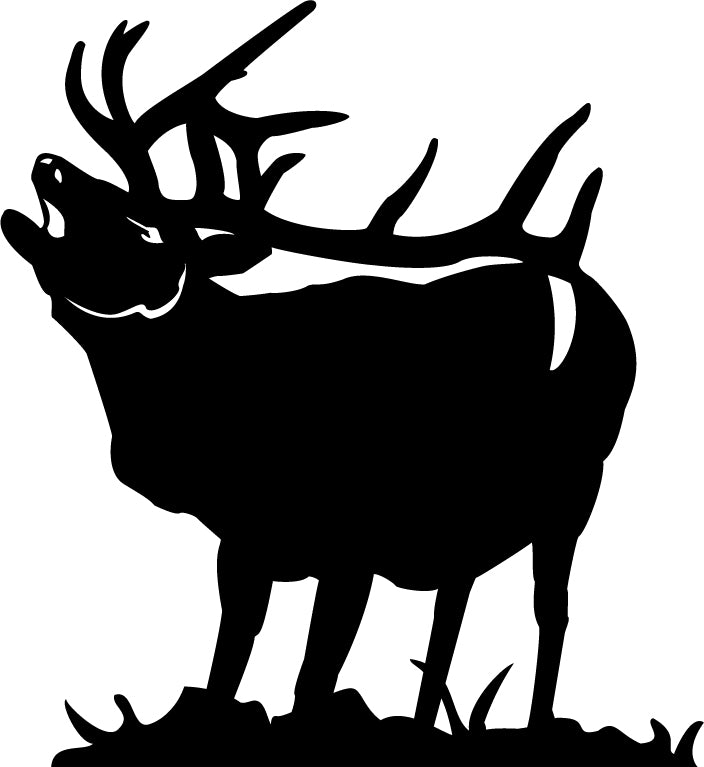 Elk (Animals 1-41)